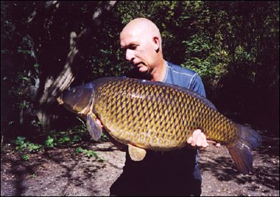 Dave Fossett - 29lb 10oz Common - Bowyers